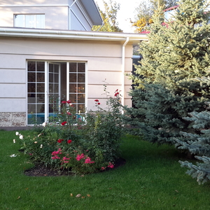 20161005_170536.jpg