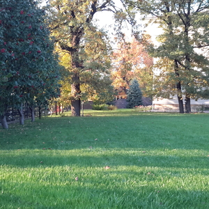 20161005_170817.jpg