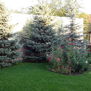 20161005_171118.jpg