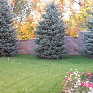 20161005_172726.jpg