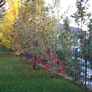 20161005_172917.jpg