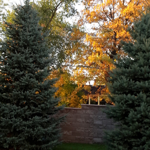 20161005_173107.jpg