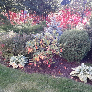 20171002_170821.jpg
